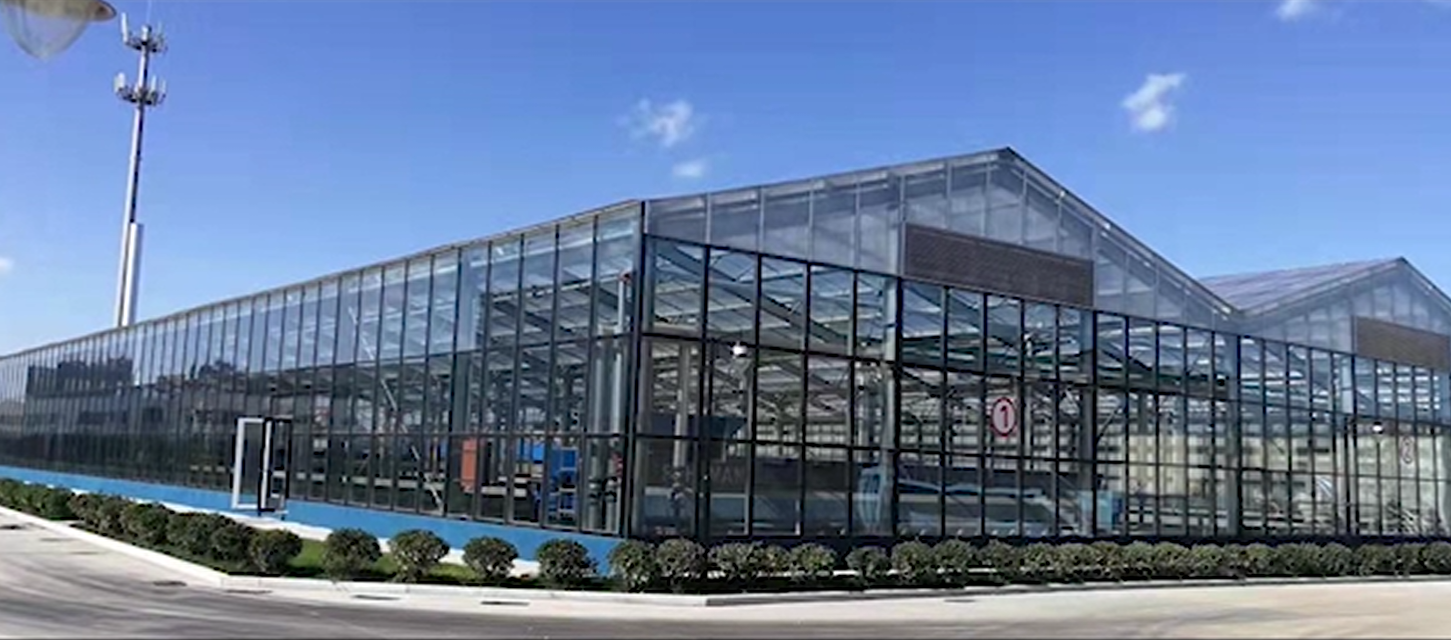 蓬萊污泥無害化處理項目